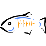 GlassFish Logo | A2 Hosting