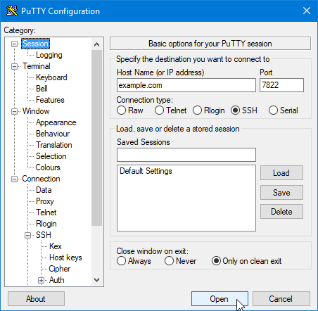 Putty configuration panel for session.